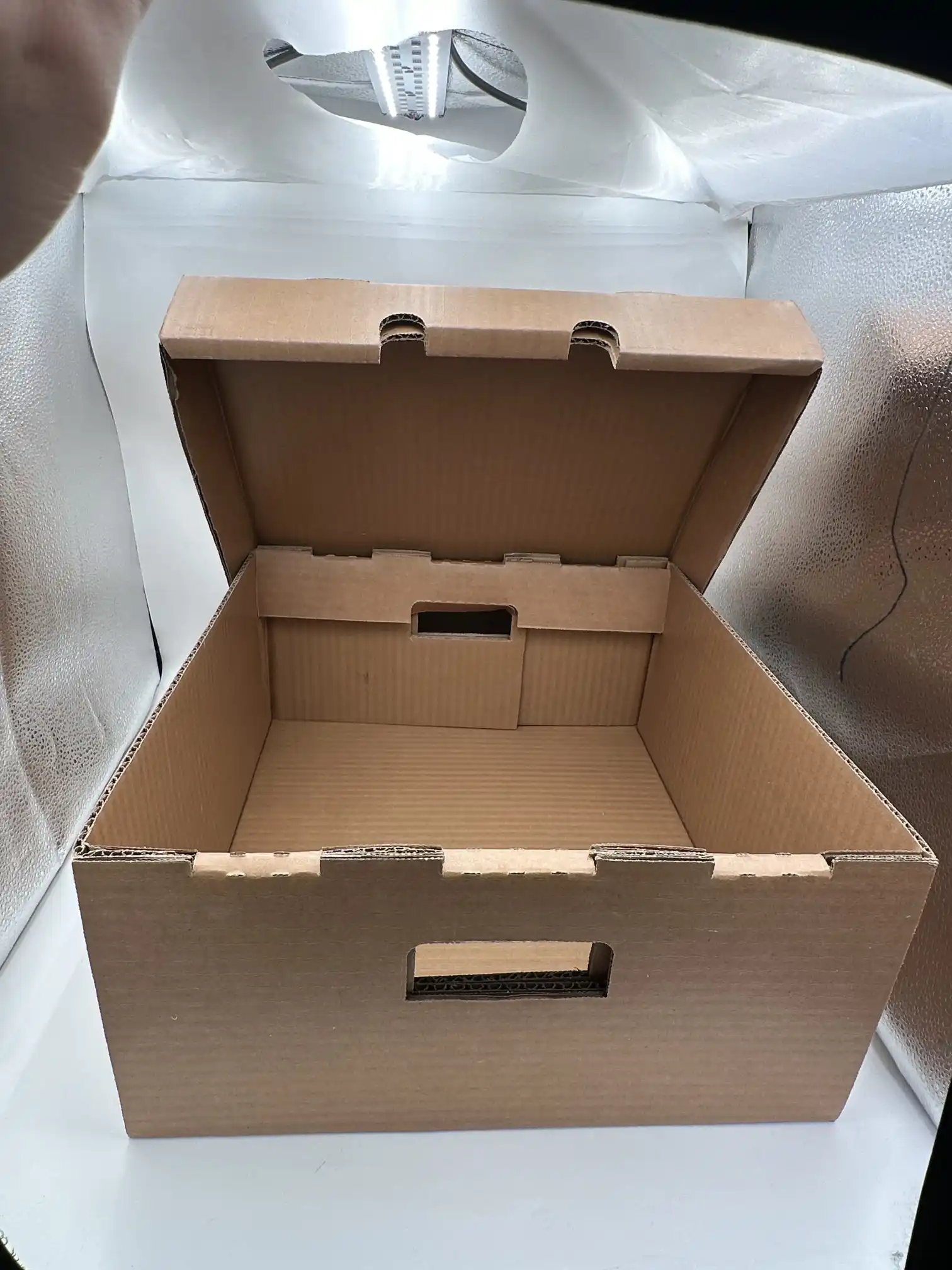 Malaking waxed corrugated box